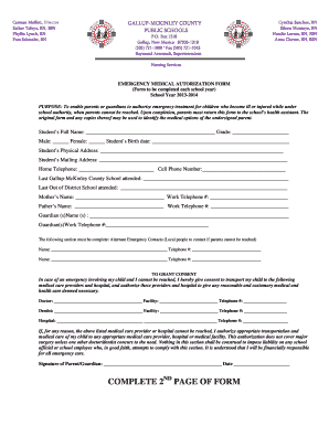Emergency Medical Authorization Form