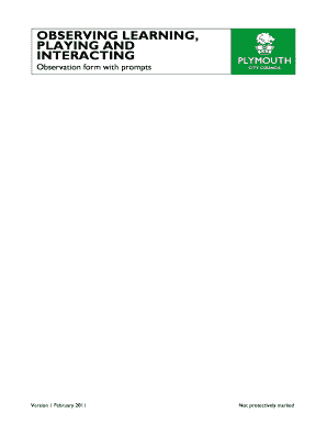 Observation Form with Prompts