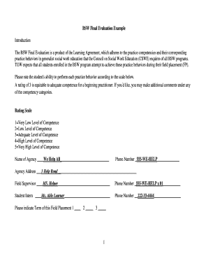 BSW Final Evaluation Form