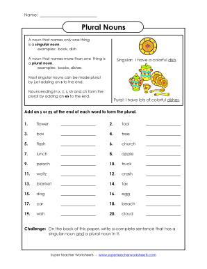 Plural Nouns Worksheet