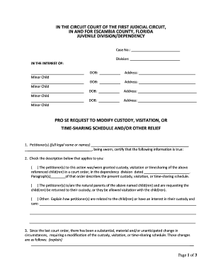 Florida Pro Se Request to Modify Custody