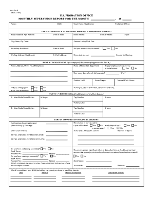US Probation Monthly Supervision Report
