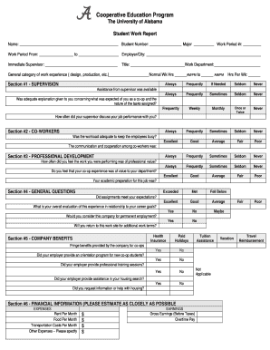Student Work Report