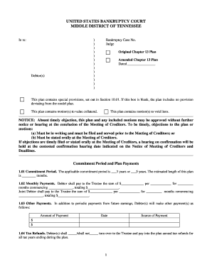 Chapter 13 Bankruptcy Plan