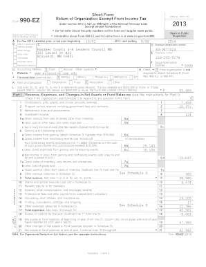 Form 990-EZ Tax Return