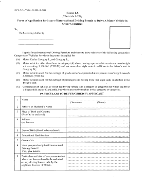 International Driving Permit Application Form