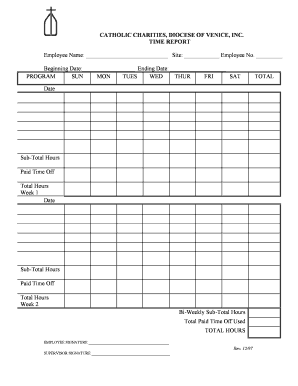 Catholic Charities Time Report
