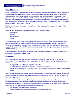 Fillable Online Case planning - an overview Fax Email Print - pdfFiller