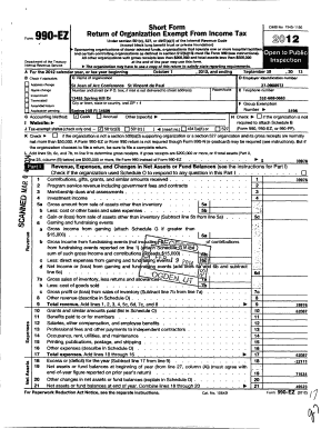 Form 990-EZ Tax Return for Exempt Organizations