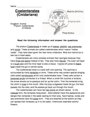 Coelenterates Worksheet