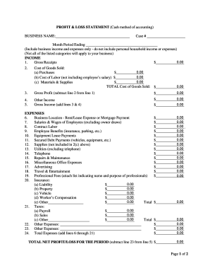 Profit and Loss Statement