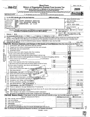 Form 990-EZ 2009