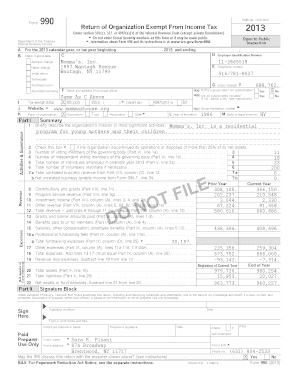 Form 990 2013