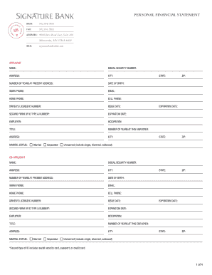Personal Financial Statement Form