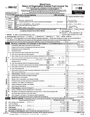 Form 990-EZ Tax Return