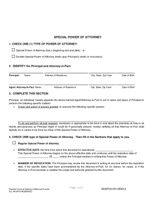 Special Power of Attorney Form