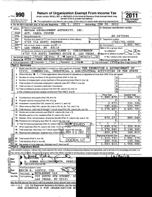 Form 990 Tax Exempt Organization Return