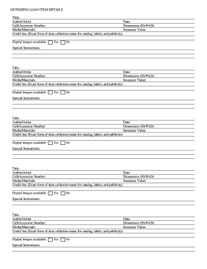 Outgoing Loan Item Details Form