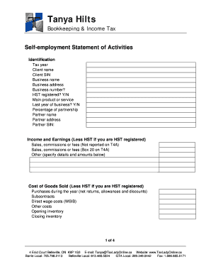 Self-Employment Statement of Activities