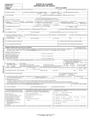 Illinois Certificate of Death