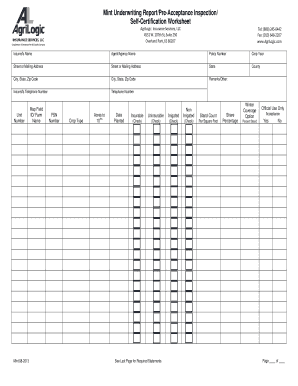 Mint Underwriting Report Form