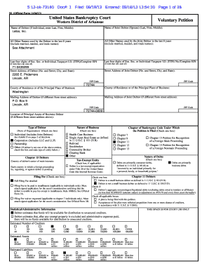 US Bankruptcy Voluntary Petition Form