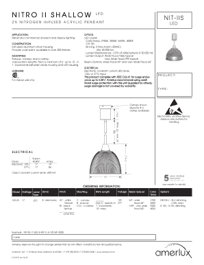 Amerlux NIT-IIS LED Pendant Lighting Order Form