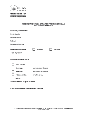 MODIFICATION DE LA SITUATION PROFESSIONNELLE