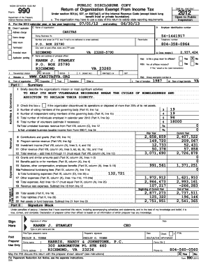 IRS Form 990 2012