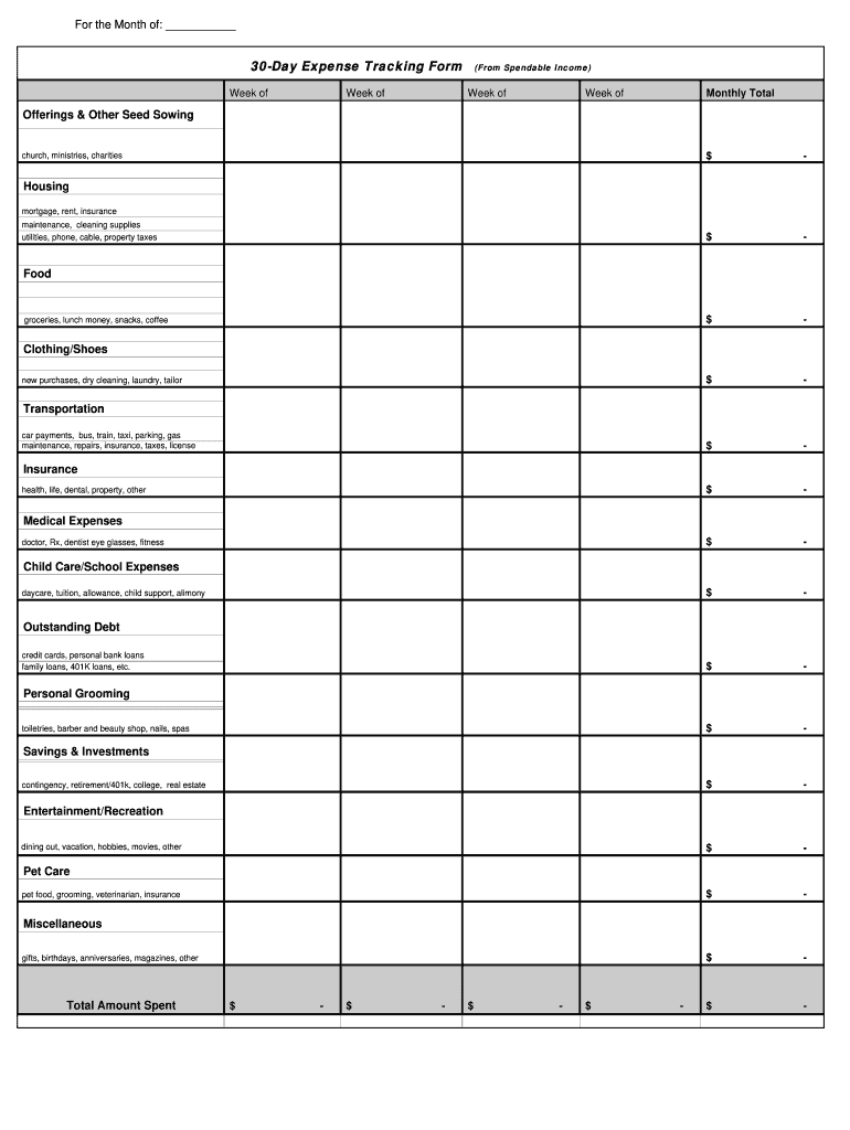 daily expense tracker Preview on Page 1.