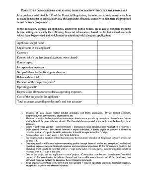 EU Grant Application Financial Information Form