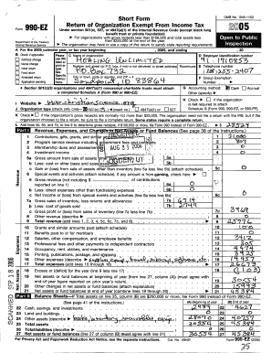 Form 990-EZ Tax Exempt Organization
