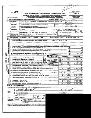 Form 990 2013