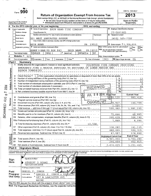 Form 990 2013