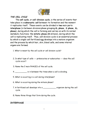 Cell Cycle Worksheet