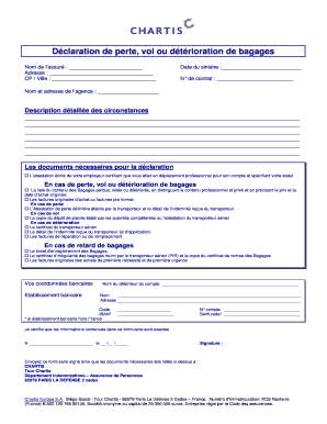 Déclaration de perte, vol ou détérioration de bagages