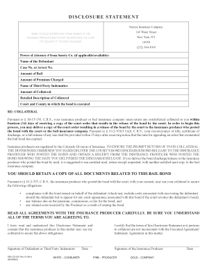 Bail Bond Disclosure Statement