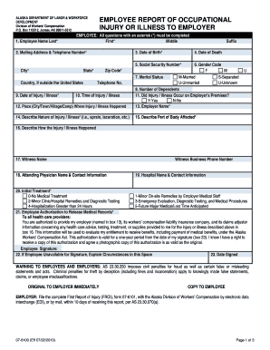 Alaska Employee Report of Occupational Injury or Illness