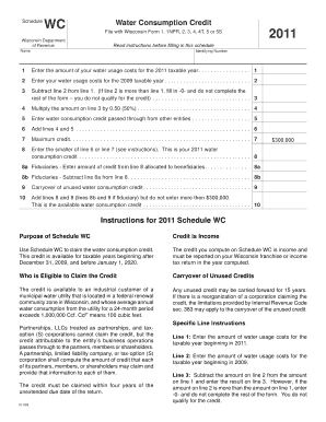 Wisconsin Water Consumption Credit Form