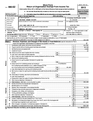 Form 990-EZ 2013