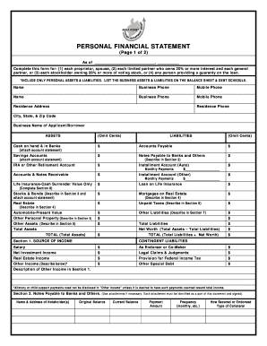 Personal Financial Statement Form