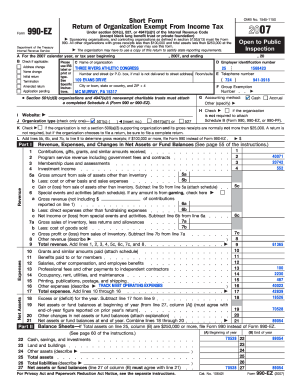 Form 990-EZ 2007