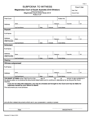Subpoena to Witness Form 1