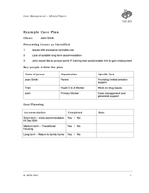 Case Management Plan Template