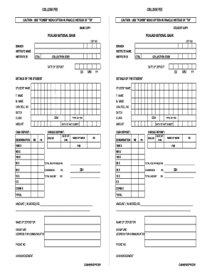 College Fee Payment Receipt