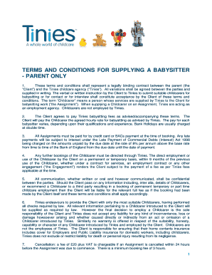 Terms and Conditions for Supplying a Babysitter
