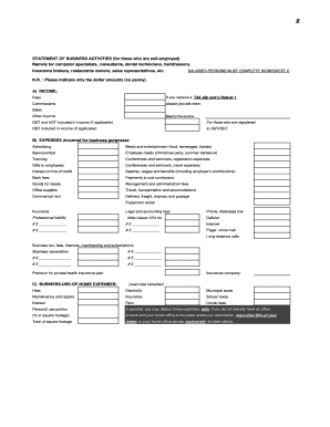 Statement of Business Activities