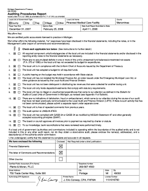 Michigan Local Unit Auditing Procedures Report