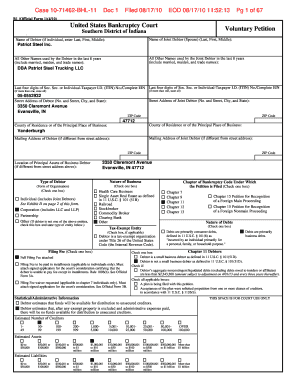 US Bankruptcy Court Voluntary Petition