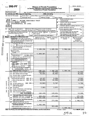 Form 990-PF 2009
